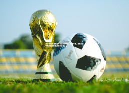 开云官网-莫斯科红牛联赛前景堪忧，战绩不佳，莫斯科红牛联赛前景堪忧,战绩不佳怎么办