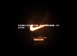 开云官网-辽宁队遭遇三连败，压力增大需迅速调整，辽宁队辽宁队