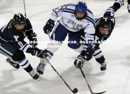 开云官网-法国队再度闯入世界杯决赛，将与意大利队争夺冠军，法国对意大利决赛