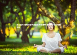开云官网-传奇球星梅西再献关键进球 难阻巴萨欧冠征程告挫